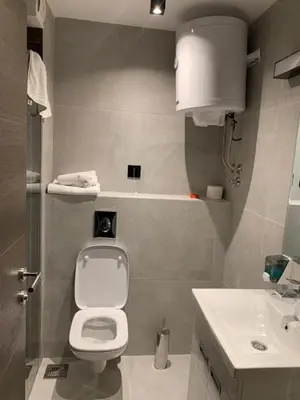 a small bathroom with a toilet and a sink at Kopaonik Zoned 2 in Kopaonik