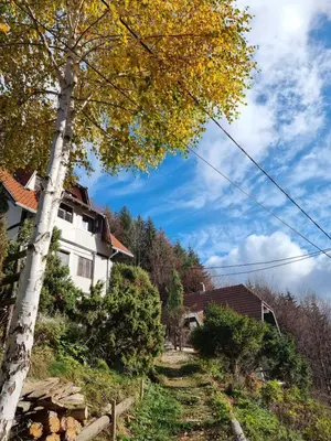 a house on a hill with a tree at APARTMAN NA STAZI - Bela Reka, Kopaonik in Brzeće