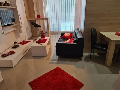 a living room with a black couch and a red rug at LUX Apartmani Jagodina in Jagodina