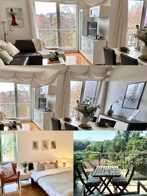 a collage of photos of a living room with windows at Prelep Pogled, Elegantan Komfor Blizu Centra, Besplatan Parking, Apartman Floresta in Vrnjačka Banja