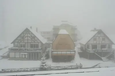 Gallery image of President Kop Alex in Kopaonik