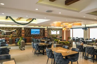 Gallery image of President Kop Alex in Kopaonik