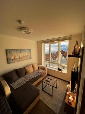 a living room with a couch and a window at Apartments Myna in Kraljevi Cardaci in Kopaonik