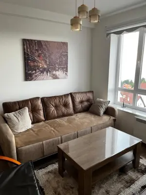 a living room with a brown couch and a coffee table at Apartments Myna in Kraljevi Cardaci in Kopaonik
