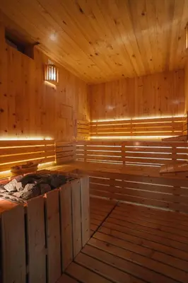 an empty sauna with wooden walls and wooden floors at AS APARTMANI PIROT in Pirot