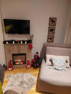a living room with a couch and a fireplace at Apartman Ema, Kopaonik, Brzeće - BLIZU GONDOLE in Brzeće