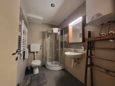 a bathroom with a shower and a toilet and a sink at Apartman Ema, Kopaonik, Brzeće - BLIZU GONDOLE in Brzeće