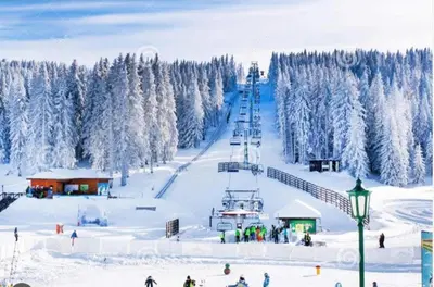 a ski slope with snow covered trees and a ski lift at Euphoria Milmari Resort Kopaonik in Kopaonik