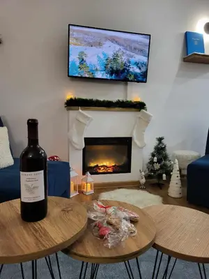 a bottle of wine on a table in a living room with a fireplace at Apartman Nina, Kopaonik, Brzeće, Kod Gondole in Brzeće