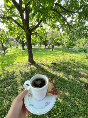 a person holding a cup of coffee in a park at Green Village Life in Katun