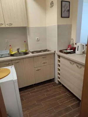 a small kitchen with a sink and a counter at Suncani apartman 36, Brzece in Brzeće