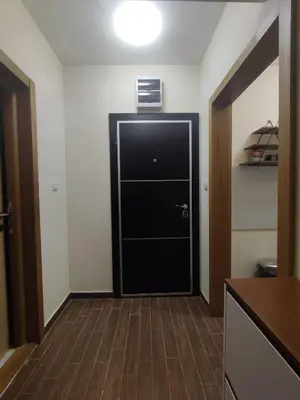 a hallway with a black door in a room at Suncani apartman 36, Brzece in Brzeće