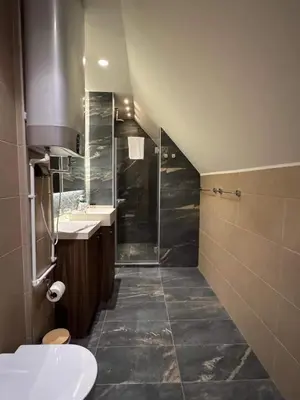 a bathroom with a shower and a sink and a toilet at KULA ANDJELA KONACI - Kopaonik Ski Centar in Kopaonik
