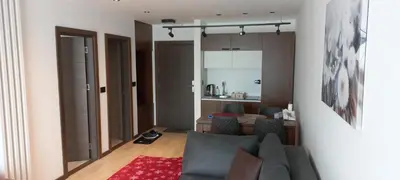 a living room with a couch and a red rug at Apartman 1001 noc - Zoned 2 in Kopaonik