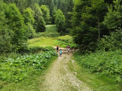 a group of people walking down a dirt road at Bele Staze 84, Ski tavanče, Brzeće in Brzeće