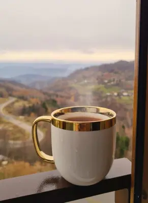 a cup of coffee sitting on a window sill at Mountain Side Kopaonik in Kopaonik
