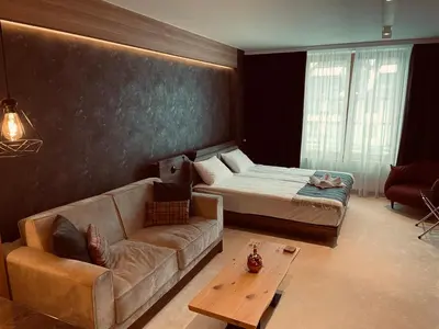 a living room with a couch and a bed at Woodside Apartman Kopaonik 315 in Kopaonik