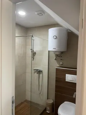 a bathroom with a toilet and a glass shower at Vuk apartment - Milmari Resort & Spa in Kopaonik