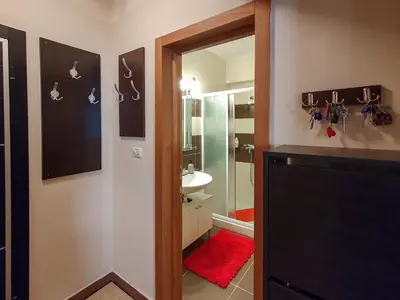 a bathroom with a shower and a sink and a mirror at Apartman Cvejic - Suncani apartmani in Brzeće