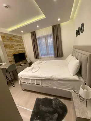 a bedroom with a large bed and a television at Apartmani Srna Milmari in Kopaonik