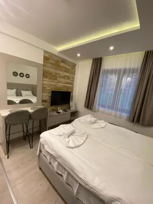 a hotel room with a bed and a desk and a television at Apartmani Srna Milmari in Kopaonik