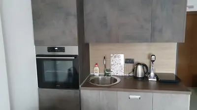 a kitchen with a sink and a microwave at N LUX in Kopaonik