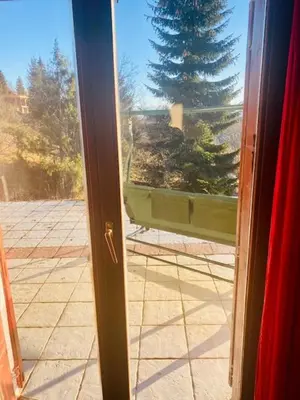 an open door with a view of a pine tree at Petra in Kopaonik