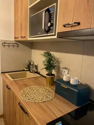 a kitchen counter with a sink and a microwave at Jankov konak in Kopaonik