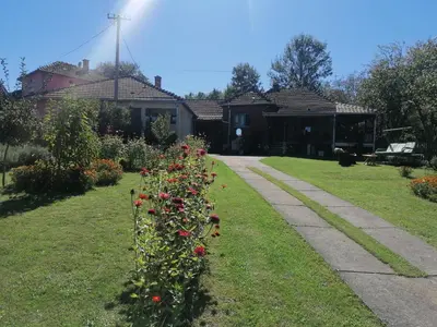 a row of roses in a yard with a house at Markov konak in Babušnica