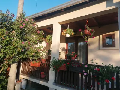 a house with potted plants on a balcony at Markov konak in Babušnica