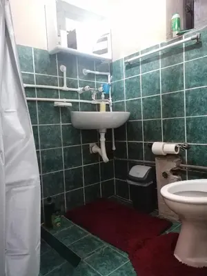 a bathroom with a sink and a toilet at Markov konak in Babušnica