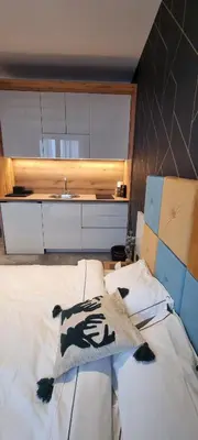 Gallery image of Apartman LANE A11 Djina in Kopaonik
