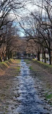 a tree lined path in a park with trees at Apartman La Campanella 1 in Vrnjačka Banja