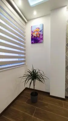 a plant in a room with a painting on the wall at Apartman Vivaldi - CENTAR in Vrnjačka Banja