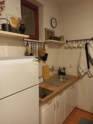 a kitchen with a white refrigerator and a sink at MonteCasa in Vrnjačka Banja