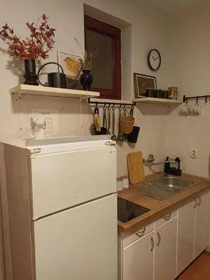 a kitchen with a white refrigerator and a sink at MonteCasa in Vrnjačka Banja