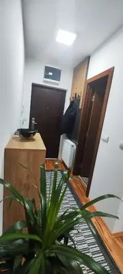 an office with a potted plant in a room at Marinkovic stan na dan in Vranje