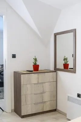 a dresser with two potted plants on top of it at Apartman Leki in Kopaonik