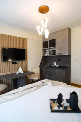 a hotel room with a bed and a television at Promenada Grujić in Vrnjačka Banja