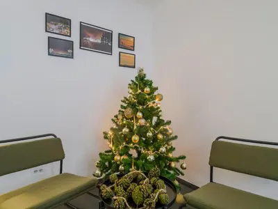 a christmas tree in the corner of a room at Apartman Dve Skije, Apartmani Šišarka in Kopaonik
