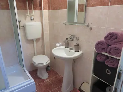 a bathroom with a sink and a toilet and a shower at Studio Centar Park in Soko Banja