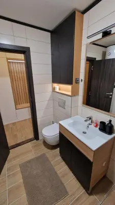 a bathroom with a sink and a toilet at Xenia Apartment in Kopaonik
