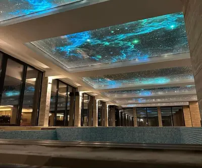 Gallery image of Garden Concept in Kopaonik