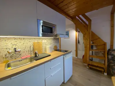 a kitchen with a sink and a microwave at Bele Staze Apartman 86 in Brzeće