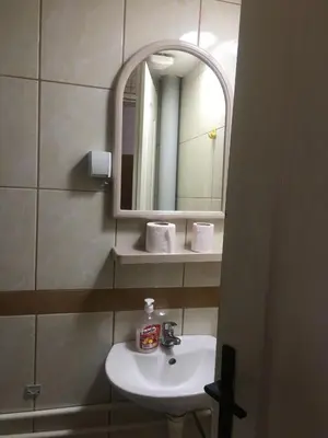 a bathroom with a sink and a mirror at VILA ZORICA in Ribarska Banja