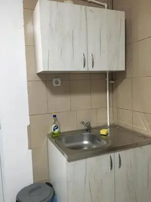 a small kitchen with a sink and a toilet at VILA ZORICA in Ribarska Banja