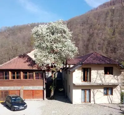 Gallery image of Velebit apartmani in Crni Vrh