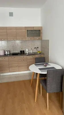 a kitchen with a table and chairs in a room at City Center Studio in Niš