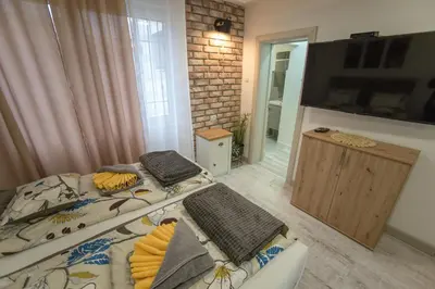 a bedroom with two twin beds and a television at Tanis Apartments in Niš