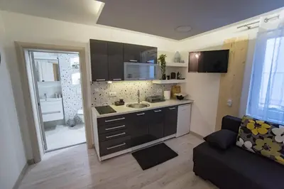 a small kitchen with a sink and a couch in a room at Tanis Apartments in Niš